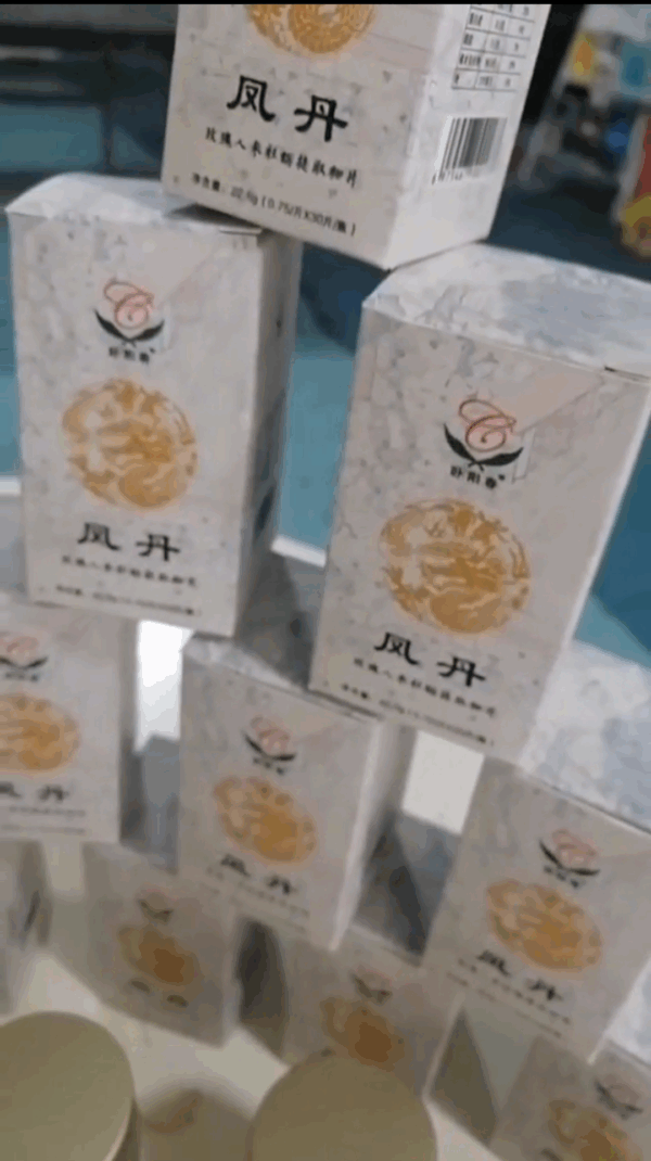 Longdan Dali Wan - Natural Energy Booster - Image 4